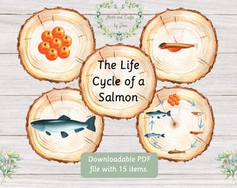 Cykl życia łososia Studium jednostkowe dotyczące łososia
