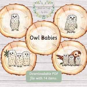 Uil Babies Flash Cards Uil Babies Verhaal Uil Babies Sory Logs Uil Babies Verhaalstenen Uil Babies Verhaal Lepels Verhalen vertellen