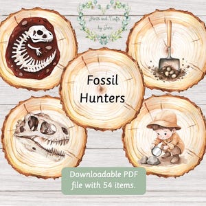 Fossiljägares studiekort: Dinosauriepaleontologi, hemundervisning (digital nedladdning)
