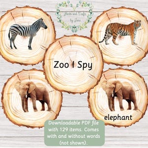 Zoo Flash Cards Animals Flash Cards Nature Flash Cards