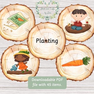 Tarjetas didácticas sobre plantación Tarjetas didácticas sobre jardín Tarjetas didácticas sobre verduras Tarjetas didácticas sobre frutas Tarjetas didácticas sobre naturaleza Tarjetas didácticas sobre naturaleza Tarjetas didácticas sobre primavera