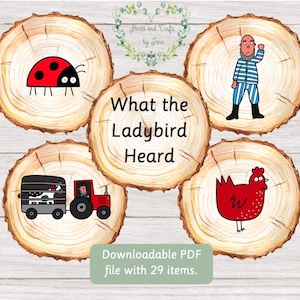 Was der Marienkäfer hört