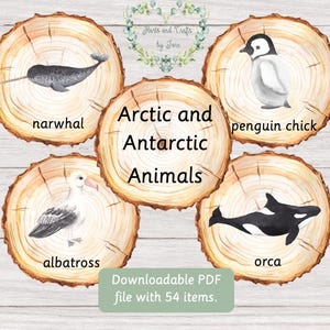 Arctic and Antarctic Animals Arctic Animals Antarctic Animals Arctic Flashcards Antarctic Flashcards Winter Flashcards Montessori Busy Book