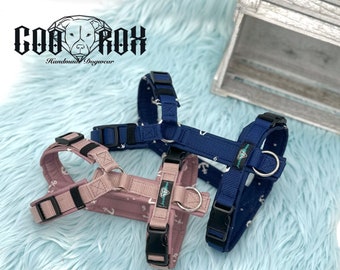Softshell dog harness / Y-harness / lead harness / padded / individually adjustable / soft / also available as a set with leash and collar