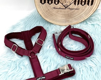 Softshell dog harness / Y-harness / lead harness / padded / individually adjustable / soft / also available as a set with leash and collar