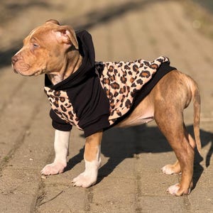 Individual Dog Hoodies Handmade Personalizable / many fabrics to choose from / cuddly / Dog / Sweater