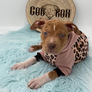 Individual Dog Hoodies Handmade Personalizable / many fabrics to choose from / cuddly / Dog / Sweater
