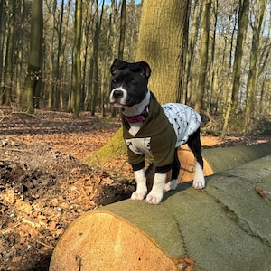 Individual Dog Hoodies Handmade Personalizable / many fabrics to choose from / cuddly / Dog / Sweater