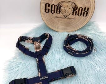 Softshell dog harness / Y-harness / lead harness / padded / individually adjustable / soft / also available as a set with leash and collar