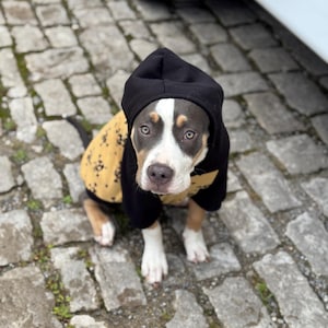 Individual Dog Hoodies Handmade Personalizable / many fabrics to choose from / cuddly / Dog / Sweater
