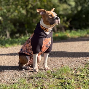 Individual Dog Hoodies Handmade Personalizable / many fabrics to choose from / cuddly / Dog / Sweater