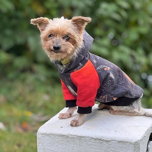Individual Dog Hoodies Handmade Personalizable / many fabrics to choose from / cuddly / Dog / Sweater