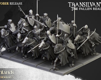 May include: A set of 12 grey plastic miniature skeletal knights on horseback, holding swords and shields. The miniatures are part of the Transilvanya: The Fallen Realm game.