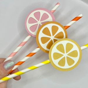 Zitrus Papierstrohhalm mit Fruchtscheibe Topper Zitrone Orange Grapefruit Sommer Party Dekor Umweltfreundliches Trinkhalm Biologisch abbaubarer Fruchtstrohhalm