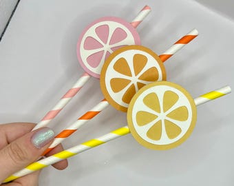 Citrus Paper Straws with Fruit Slice Toppers – Eco Friendly Party Decorations