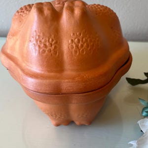 Cornish Hen Clay Baker: Terra Cotta Bakeware Pan, Gourmet-Topf