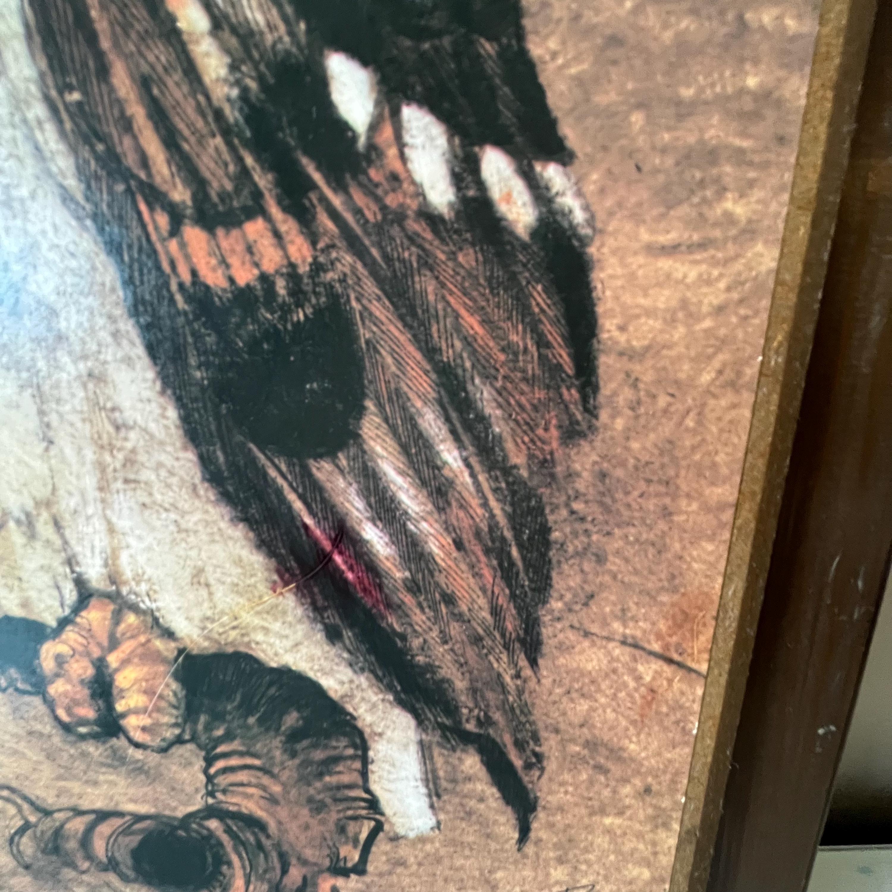 Vintage Owl Picture From Home Interiors / Orange and Brown