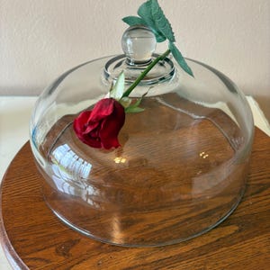 May include: A clear glass cloche with a round wooden base. A red rose with green leaves is placed inside the cloche. The cloche has a glass knob on top. The wooden base is a warm brown color.