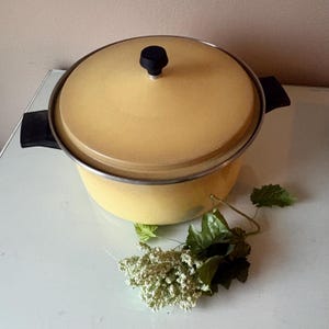 May include: A yellow vintage cooking pot with a lid and black handles. The pot has a silver rim and a black knob on the lid. Decorative green leaves and white flowers are placed near the pot.