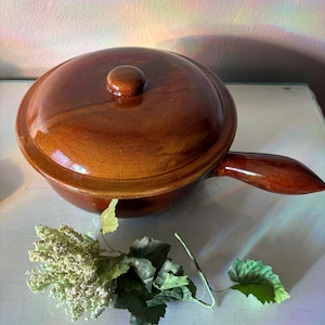 May include: A brown ceramic casserole dish with a lid and a handle. The dish has a glossy finish and a round knob on the lid. A sprig of faux greenery is in the foreground.