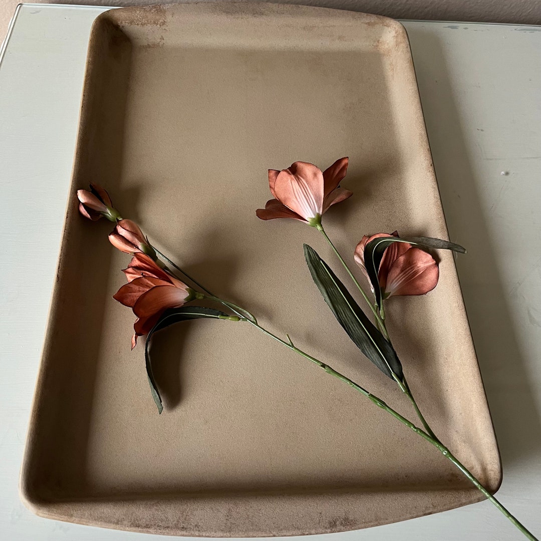 Pampered Chef Stoneware Bar Pan, Cookware, Bakeware / Stoneware Cookie