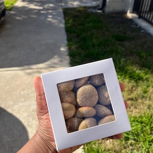 Tea Cake Collective- Tiny Teas!