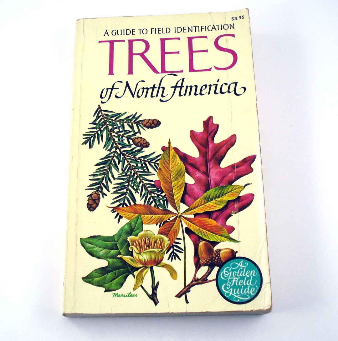 A Guide to Field Identification Trees of North America Vintage Golden ...