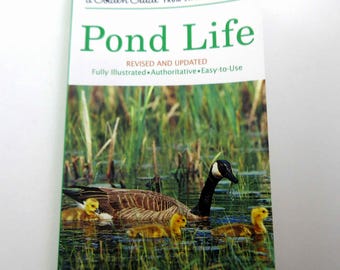 Pond Life A Guide to Common Plants and Animals of North American Ponds Lakes Vintage Guide Book with Fabulous Illustrations