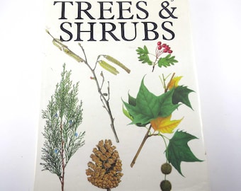 The Illustrated Book of Trees and Shrubs Vintage 1980s by Vaclav Vetvicka Gallery Books