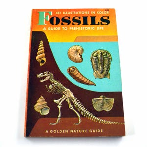 May include: A vintage paperback book titled Fossils: A Guide to Prehistoric Life, A Golden Nature Guide. The orange and blue cover features illustrations of a dinosaur skeleton, various shells, and prehistoric creatures with the text 481 Illustrations in Color.