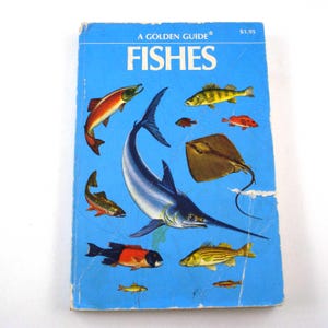 A Golden Nature Guide Fishes A Guide to Familiar American Species Vintage 1950s Guide Book by Herbert S. Zim