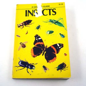 A Golden Nature Guide to Insects Vintage 1950s Guide Book with Fabulous Illustrations