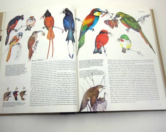 Birds Their Life Their Ways Their World Vintage 1970s or 1980s  Reader's Digest Book