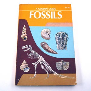 Fossils A Guide to Prehistoric Life Vintage 1960s Guide Book with Fabulous Illustrations Frank Rhodes Herbert S. Zim Raymond Perlman