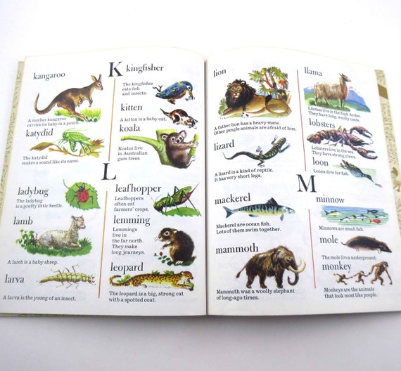 Animal Dictionary Vintage 1970s Children's Little Golden Book by Animal Dictionary Vintage 1970s Children's Little Golden Book by