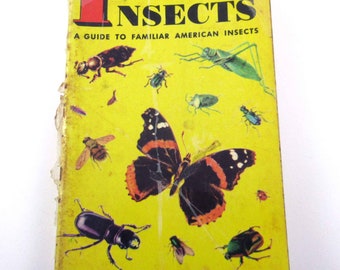 A Golden Nature Guide to Insects Vintage 1950s Guide Book with Fabulous Illustrations