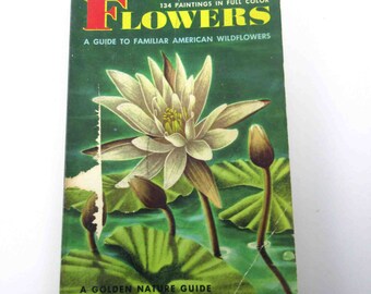 A Golden Nature Guide to Familiar American Wildflowers Flowers Vintage Guide Book with Fabulous Illustrations