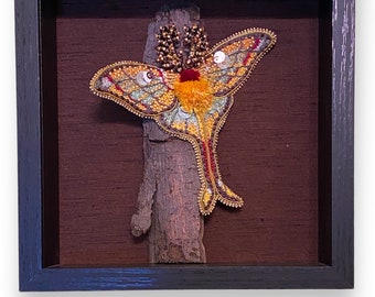 Comet Moth Picture - 3d Seed Bead and Thread Painting in a black wooden shadowbox - Hannah Rosner Designs - Madagascar Moon Moth