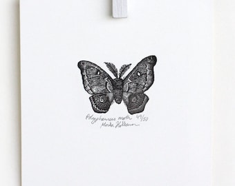 Moth Illustration, Moth art, Moth print