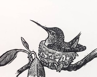 Hummingbird Engraving - Original Print - Hummingbird gift - Hummingbird art -  Hummingbird Print
