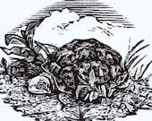 Turtle Art Print, originele hand getrokken gravering