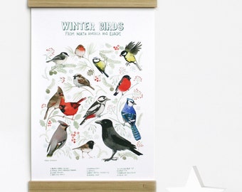 Birds Downloadable Prints Watercolor Bird Art Montessori Educational Poster Kids Boys Girls Children Rooms Learning Painting Illustration