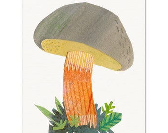 Bolete Mushroom Collage Print