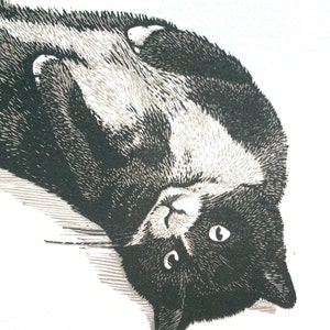 May include: Black and white illustration of a cat looking up at the camera with its head upside down.