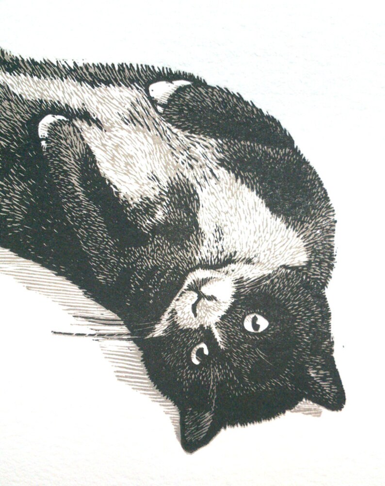 May include: Black and white illustration of a cat looking up at the camera with its head upside down.