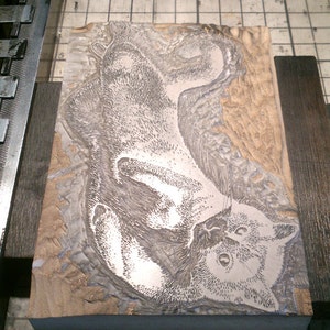 May include: A close-up of a woodblock print depicting a cat. The cat is lying on its back with its paws in the air. The print is detailed and shows the cat's fur in great detail.