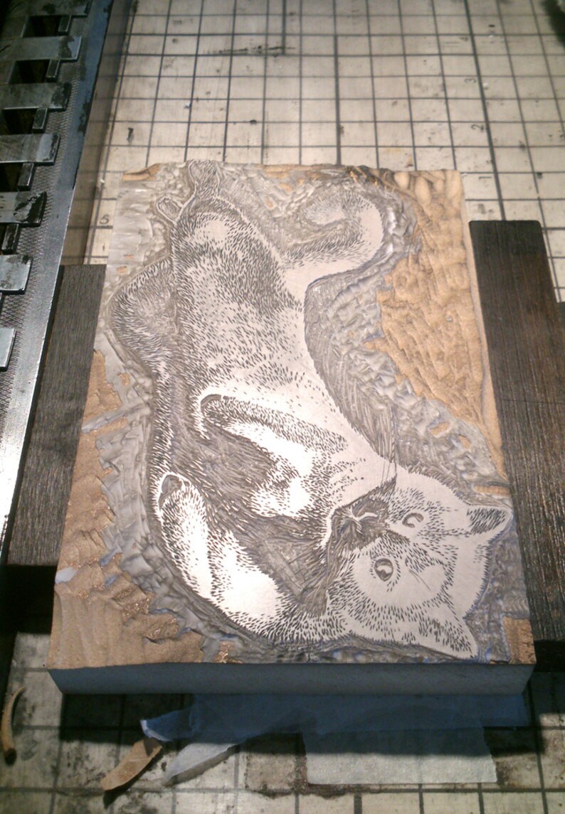 May include: A close-up of a woodblock print depicting a cat. The cat is lying on its back with its paws in the air. The print is detailed and shows the cat's fur in great detail.