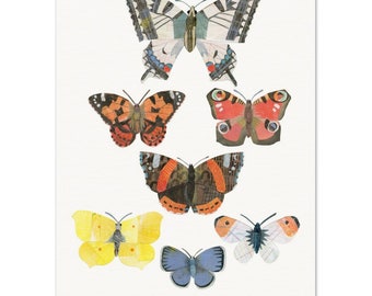 Butterfly Collection Collage Print