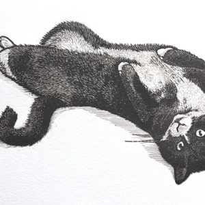 May include: A black and white cat with a white patch on its chest is lying on its back with its paws in the air. The cat has a black nose and a white spot on its left eye.