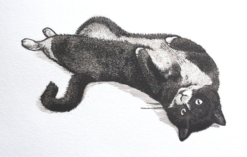 May include: A black and white cat with a white patch on its chest is lying on its back with its paws in the air. The cat has a black nose and a white spot on its left eye.